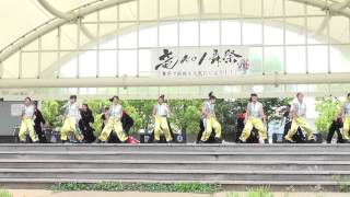 SAKADO WINDSさん　竜KOI舞祭2014　