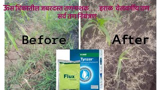 Tynzer By BASF for Herbicide | Tynzer | Herbicide