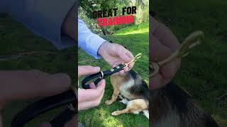 Dog Training 101 - Leather Pull Tabs #shorts