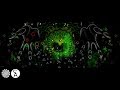 Captain Hook & Tetrameth - The Ever Present Silent Observer [Visualization]