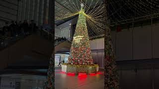 名古屋JRゲートタワーのChristmas tree 2022