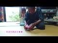 はるのちゃんの折鶴をプレゼント!!