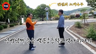 선배님이 해주시는 백봉초등학교의 역사 이야기(feat.전설의 느티나무)