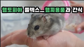 햄토피아 플렉스ㅡ바람개비쳇바퀴(22센티미터)와 햄스터 간식들(Hamster) (ハムスター)