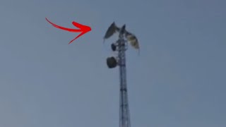 10 Dragons Caught On Camera & Spotted In Real Life!