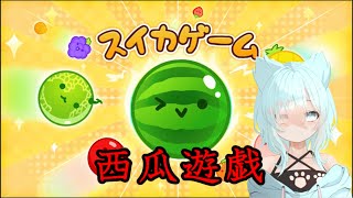 【スイカゲーム】スイカ食べたいから作りますか！【新人Vtuber】