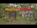 operation cheetah in tirumala తిరుమలలో ట్రాప్ కెమెరాలకు చిక్కిన చిరుత దృశ్యాలు 10tv news