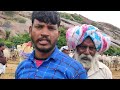 black cart oxes videos adoni ఆదోని ఎద్దుల సంత లో నల్లటి చిరుతలు గా ఉన్న ఎద్దుల ధరలు చూడండి