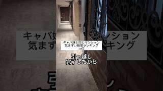 分かると怖い動画...みんな分かった？#shorts #賃貸 #ランキング #キャバ嬢