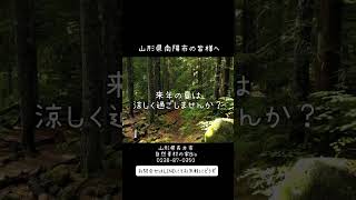 南陽市 新築住宅 冷房効率 空気の流れ #shorts