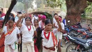 lanjia soura's dance at LSDA puttasing get together of Rayagada and Gajapati dist lajia soura