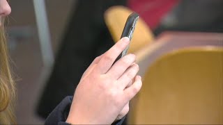 'Unplug and play': Statewide initiative aims to get New York kids off their phones and outside