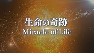 『生命の奇跡 (Miracle of Life)』