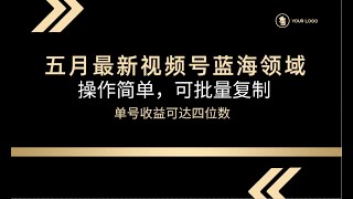 24年五月最新视频号冷门蓝海赛道，操作简单可批量复制，单号收益可达四位数完整版