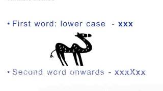Coding Standards in JAVA Java tutorials