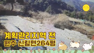 원주시 신림면 계획관리지역 전 264평, 경매 진행