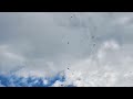 ANGRY BIRDS VS DRONE ATTACK DJI MINI 3 PRO LOL