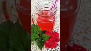 ഒരു കിടുക്കാച്ചി ചെമ്പരത്തി lemonade 🌺🌺🍹ആയാലോ??😋| hibiscus lemonade | hibiscus juice | Diy Naturals