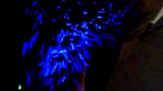 Epic fibre optic lamp