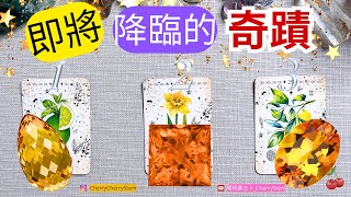 🍒 💝天降奇蹟, 把握好運｜即將要降臨在你身上的奇蹟 與 好運 ｜  ♥️ 請開啟字幕 🟣無時間限制占卜 🟡  #塔羅 #占卜 #字卡 #tarot #oracle