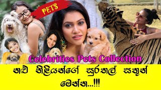 Sri Lankan Actress with Pets | Pet Lovers | හුරතලේට කොටියෙක් ඇති කරන ජනප්‍රිය තරුව...?