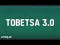 Myztro, Leehleza - Tobetsa 3.0 (Lyrics) feat. Shaunmusiq & Ftears