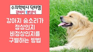 강아지 숨소리가 정상인지 비정상인지를 구별하는 방법/수의학박사 닥터엠의 강아지119