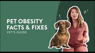 Pet Obesity Facts & Fixes · Vet's Guide