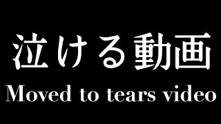 《全米が泣いた動画》泣ける動画 Moved to tears video