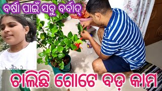 ସକାଳୁ ସକାଳୁ ଚାଲିଛି ଗୋଟେ ବଡ଼ କାମ #odiavlog #mydailyvlog #indianvloggersuchitradhal