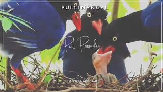 Pullinangal Birds WhatsApp status Tamil