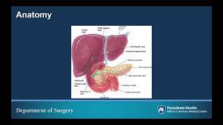 RUQ Abdominal Pain for Medical Students