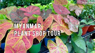 Myanmar Plant Shop Tour 1.0