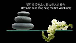 【Vietsub】Nguyện Đời Như Ý - 如願以償 - Trần Thục Hoa - 陳淑樺