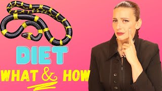 How to Start The Snake Diet - The What, How and When!