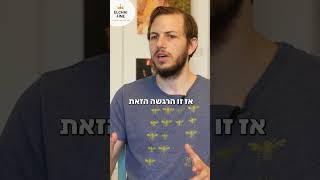 טל חי - בולשורט - לרילס / סטורי על  אלחי פין