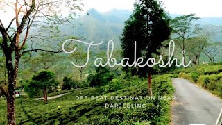 tabakoshi tea village homestay | Offbeat places in north bengal