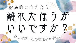 夫婦・恋人のお相手と離れるべき？離婚したほうがいい？別れたほうがいい？どうなる？自己対話・内観をサポートするタロット占い💓３択です！パートナーとの今後を考えよう🫶🏻