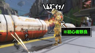 空気を撃ってる初心者野良さんが可愛いwww【APEX】