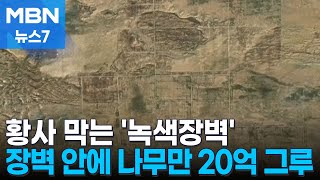 타클라마칸 사막에 거대한 '녹색장벽' 건설…황사 줄어들까? [MBN 뉴스7]