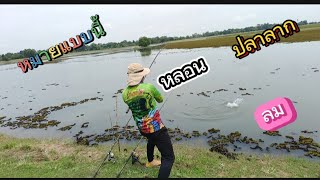 EP.121 หมายนี้หลอนจริง ไม่แนะนำ ลมแปรปรวน หมายปิด##snakehead #ตกปลา #fishing