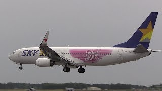 福岡ソフトバンクホークス「タカガールジェット」 Skymark Airlines JA73NJ Ibaraki Airport Landing