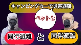 キャンピングカー鳥人間対談第8話「キャンピングカーと災害避難について」　#南海トラフ地震　＃地震　＃避難