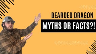 Bearded Dragon Myths vs. Facts: What You Need to Know!