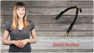 Braided Leather Coupler for Walking 2 Dogs - Review