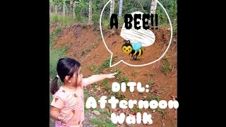 DITL: Afternoon Walk