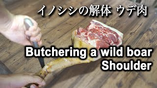 ジビエ肉★イノシシの前足の解体【キレイに脱骨-Part１】肩ロース・ウデ肉・すね肉を部位ごとに分けるまで