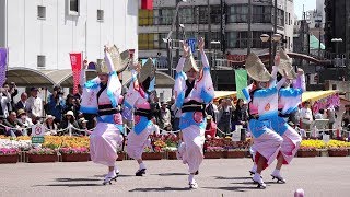 葵連 @ はなはるフェスタ (藍場浜公園) 2019-04-20T11:30