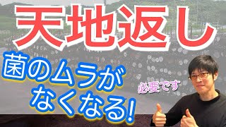 「初心者が夏前に行うべき木の並び替え方」⑥ “天地返し 編”【原木椎茸栽培】