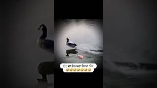 ,🤣🤣😂😂  #new video #indianfunny videos @funny videos # funny videos, Funny video #video #2024